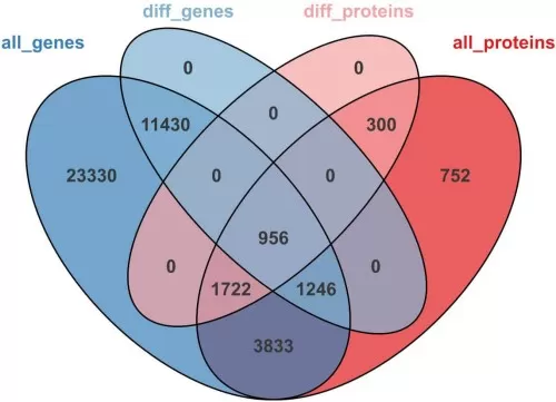 figure 3. Venn diagram for differential genes and proteins
